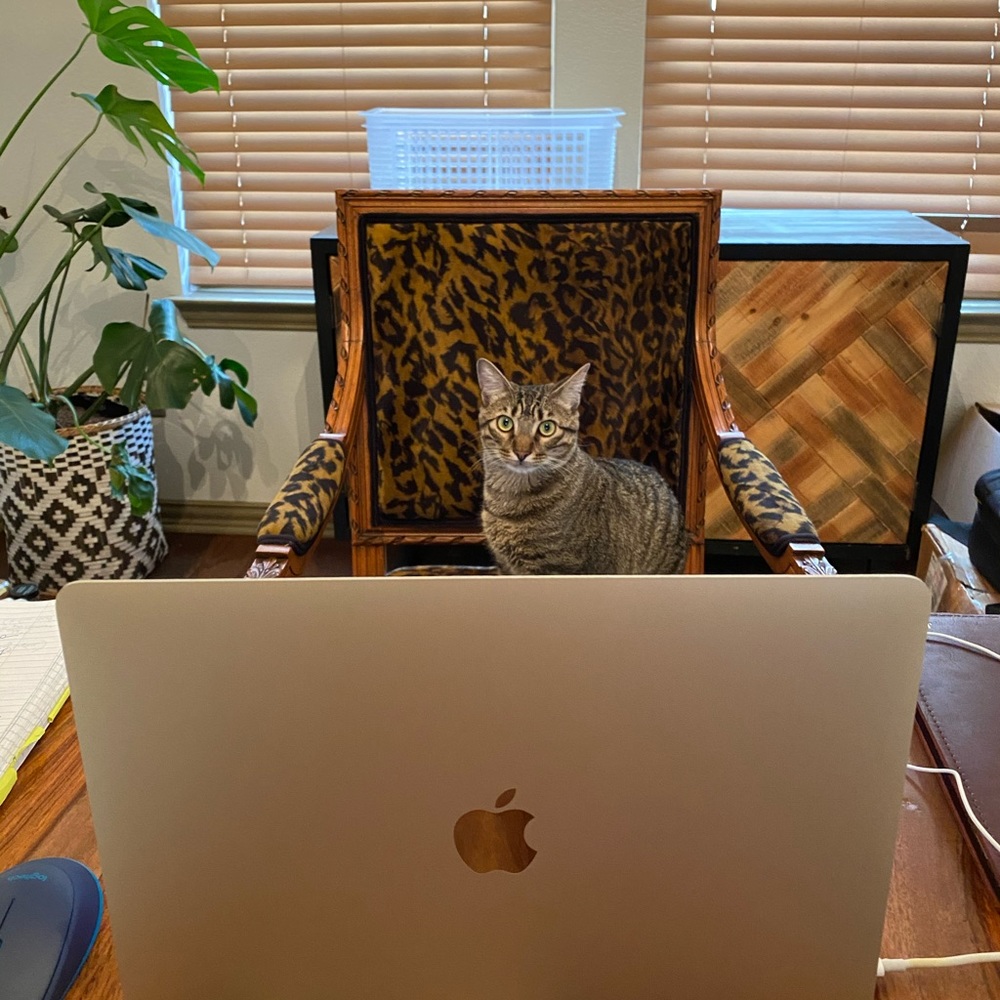 Meet your Posher, Jeb